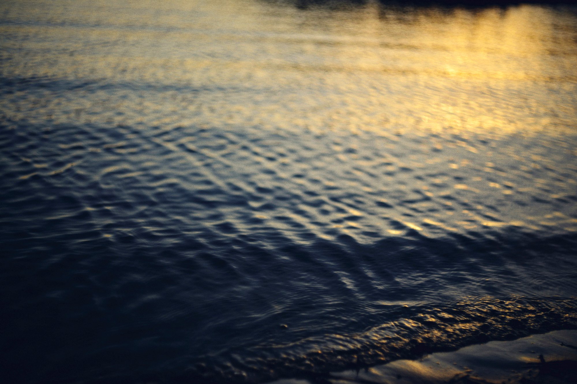 Real film photograph: dark water ripples catching golden light
